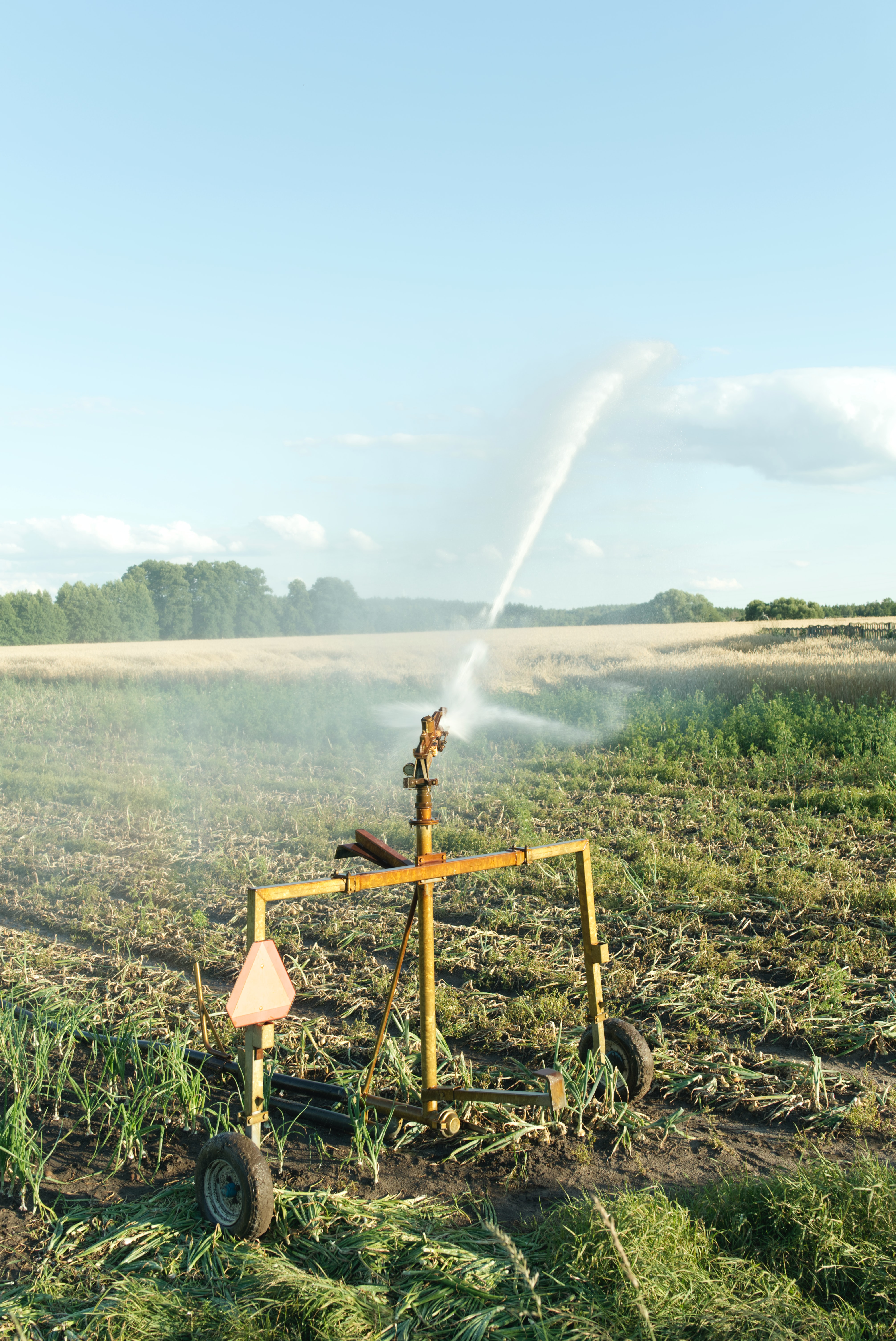 Sprinkler System Repair'