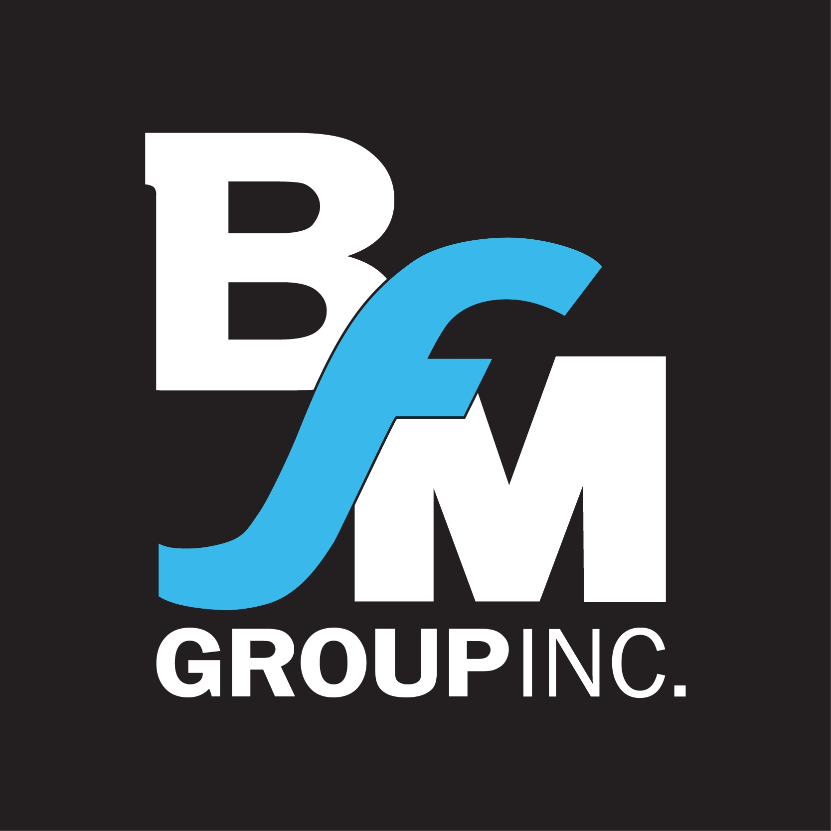 Company Logo For BFM Group, Inc.'