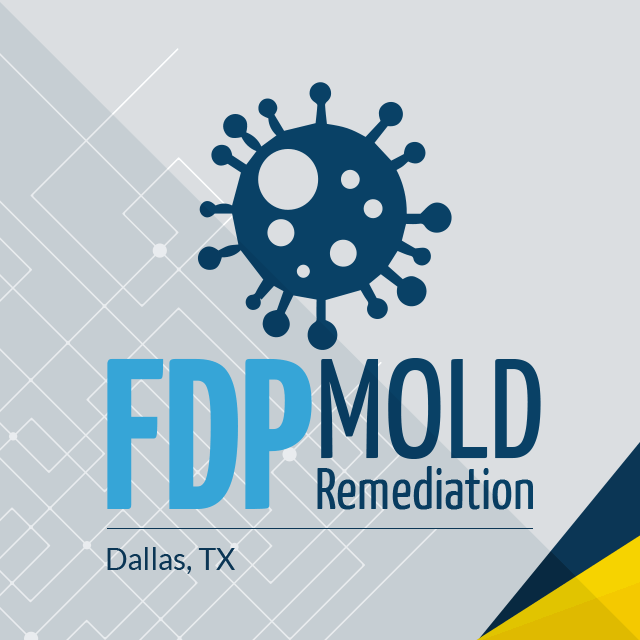 Company Logo For FDP Mold Remediation'