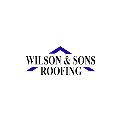 Company Logo For Wilson and Sons Roofing'