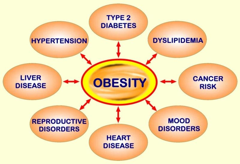 Obesity Medicine'