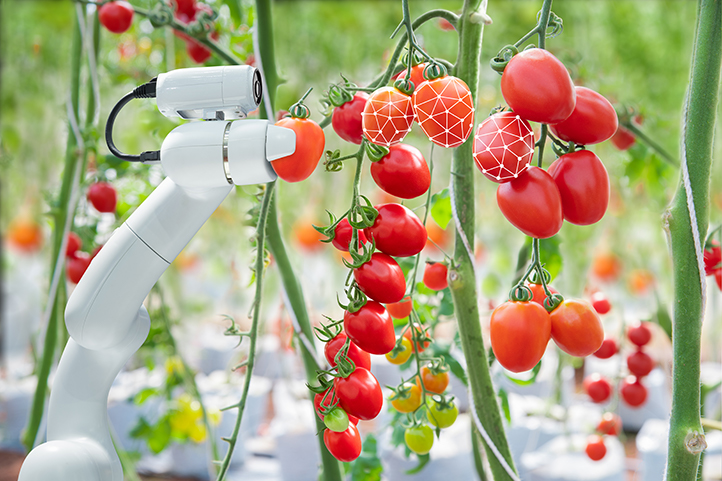 Harvesting Robot Market Opportunities