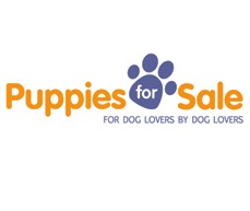 Puppies for Sale'