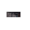Company Logo For Cataline Sales Incentives'