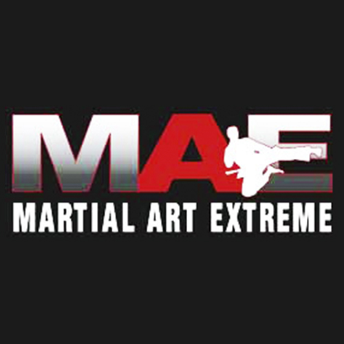 Martial Art Extreme Logo