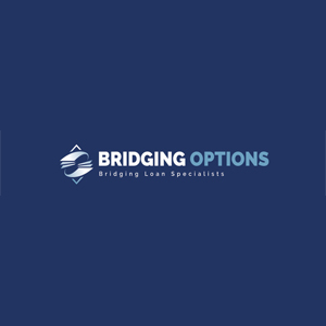 Company Logo For Bridging Options'