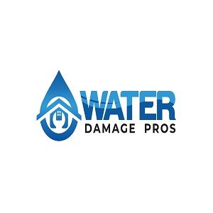 Company Logo For Cobb Water Damage Pros'