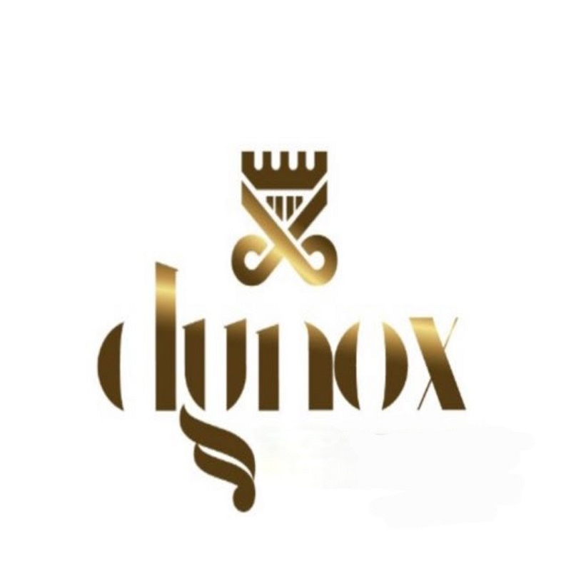Company Logo For Dynox Limited'