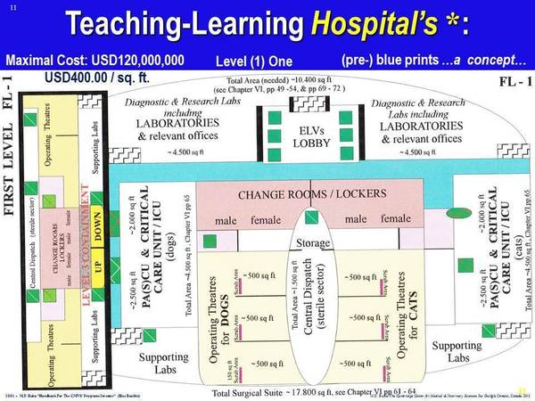 CAH Learning &amp; Teaching Animal Hospital'