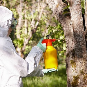 Oil and Rig Information'