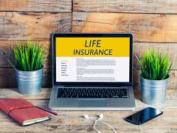 Variable life Insurance Market