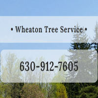 Wheaton Tree Removal Logo
