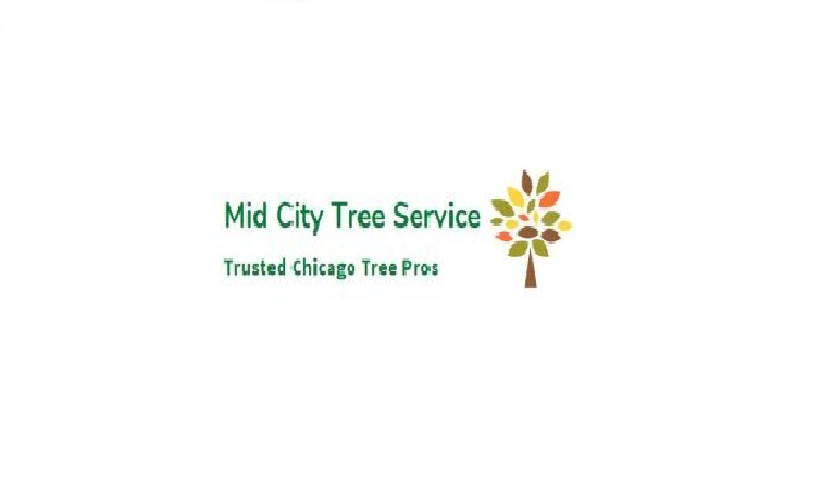 Company Logo For Mid City Tree Service'