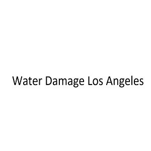 Company Logo For BWater Damage Los Angeles'