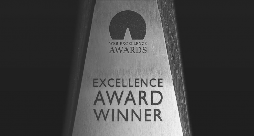 Web Excellence Awards - Winners Trophy'