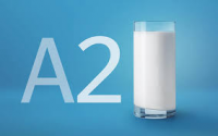A2 Milk Market