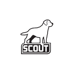 Company Logo For Scout Inc.'