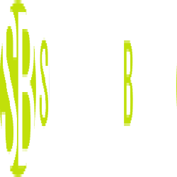 Software Blog'