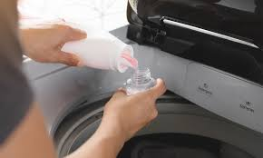 Laundry Sanitizer Market