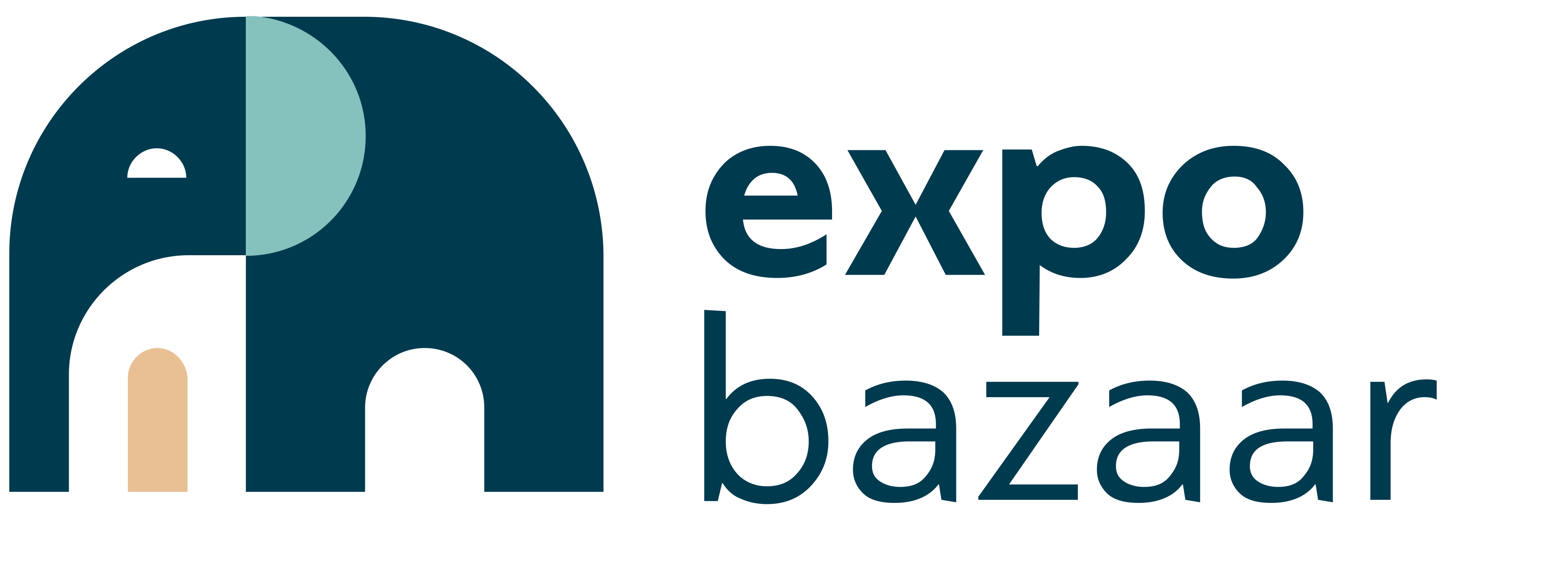 Company Logo For ExpoBazaar'