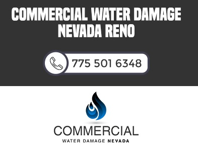 Company Logo For Commercial Water Damage Nevada Reno'