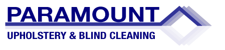 PARAMOUNT CLEAN Logo