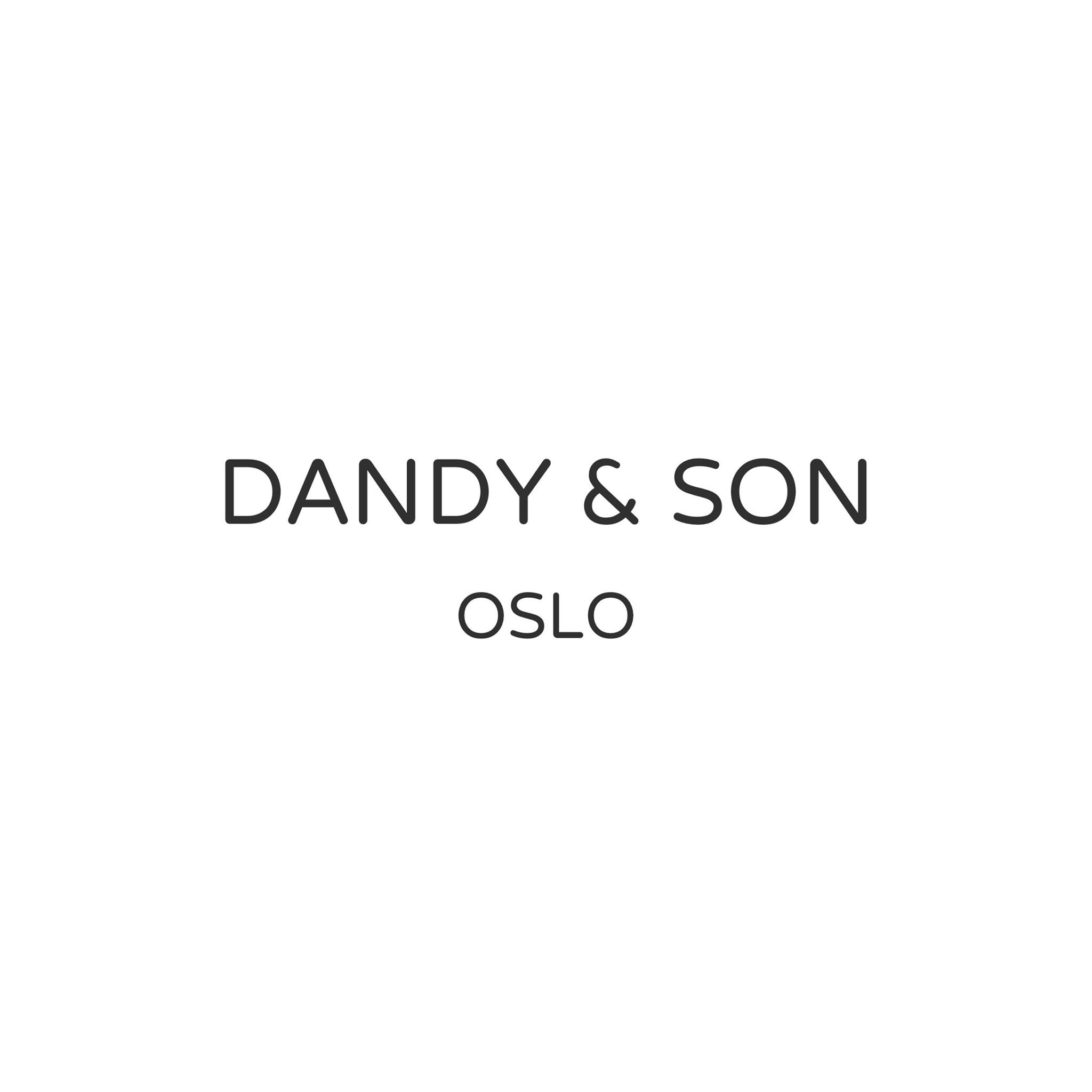 DANDY & SON LLC Logo