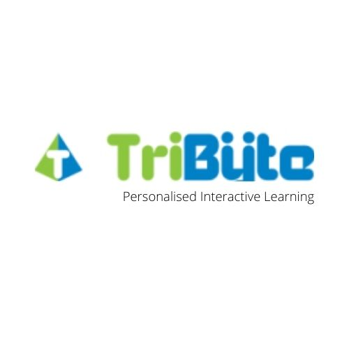 Company Logo For Tribyte Technology'