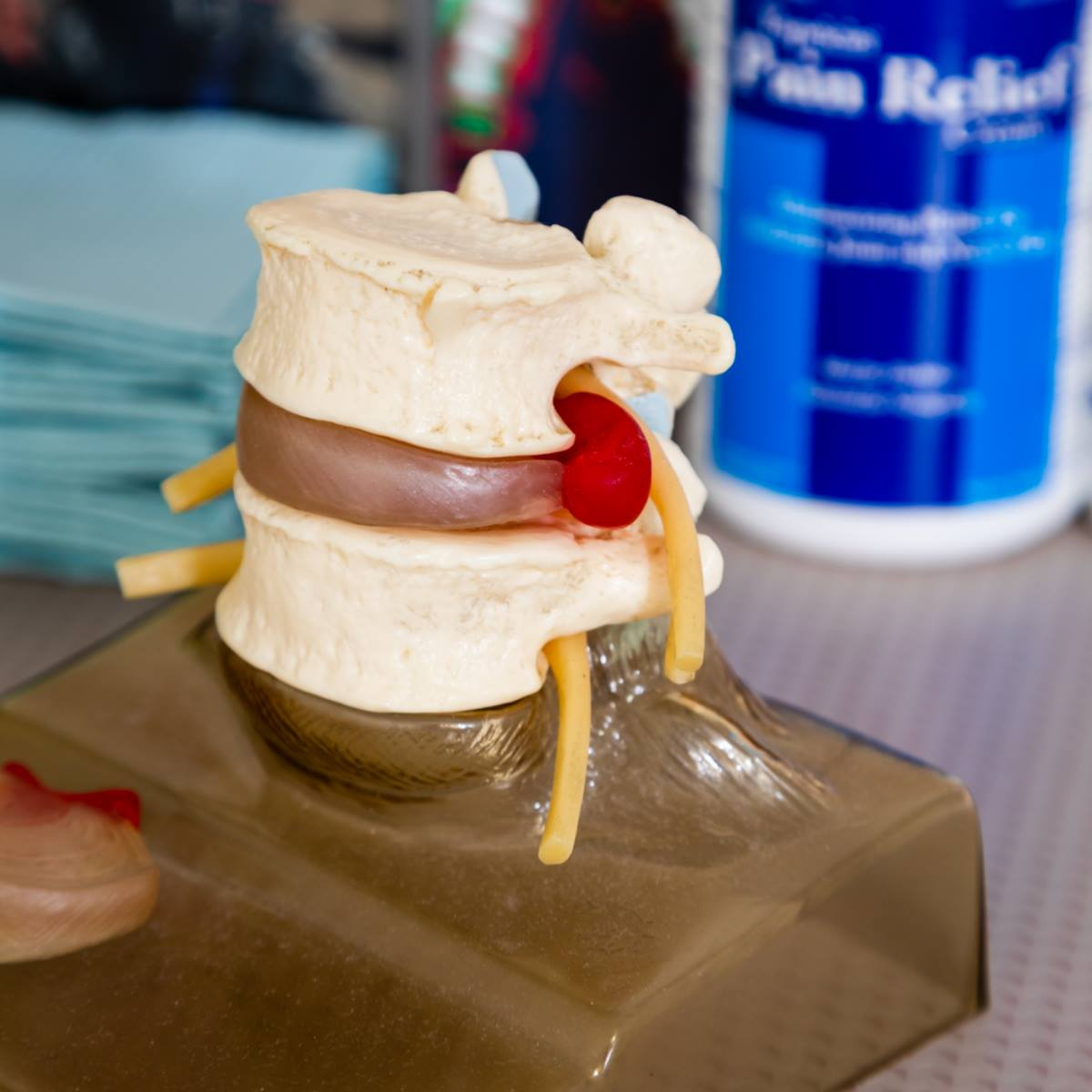 Chiropractor Clearwater'