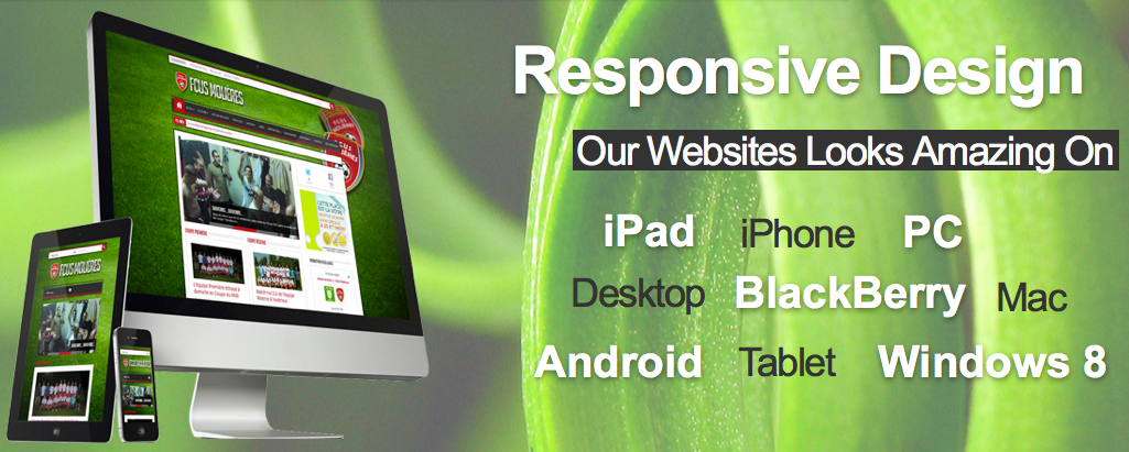 Toronto Website Design'