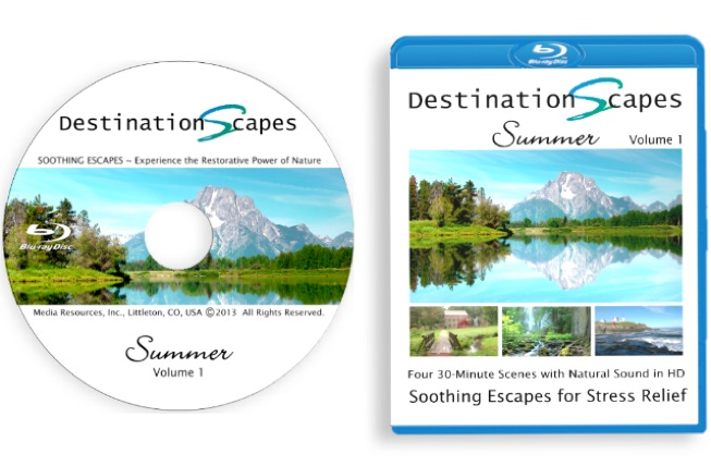 DestinationScapes'