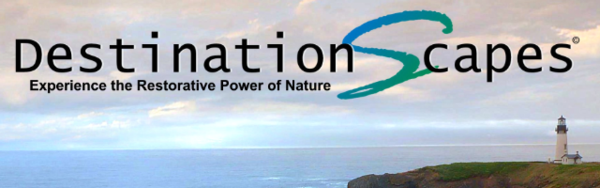 DestinationScapes'