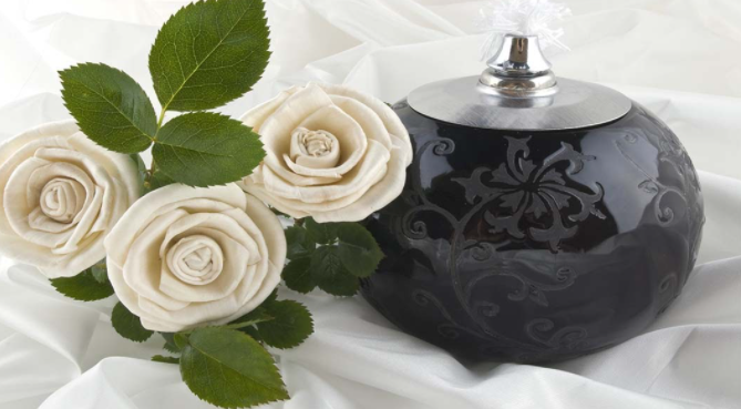 Company Logo For Alterna Cremation'