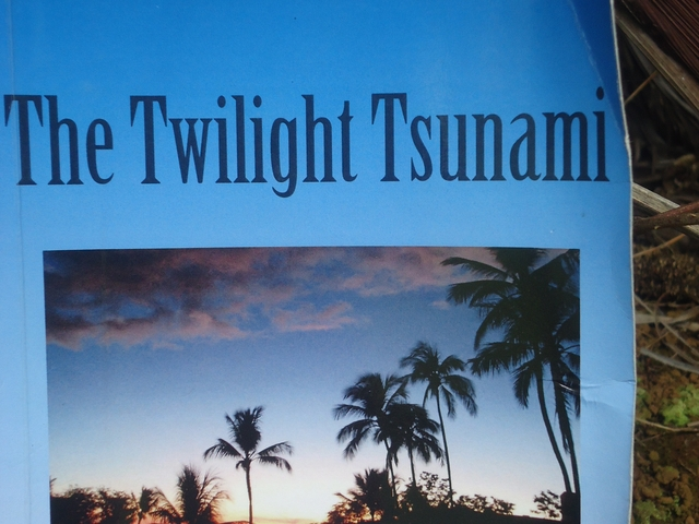 THE TWILIGHT TSUNAMI'