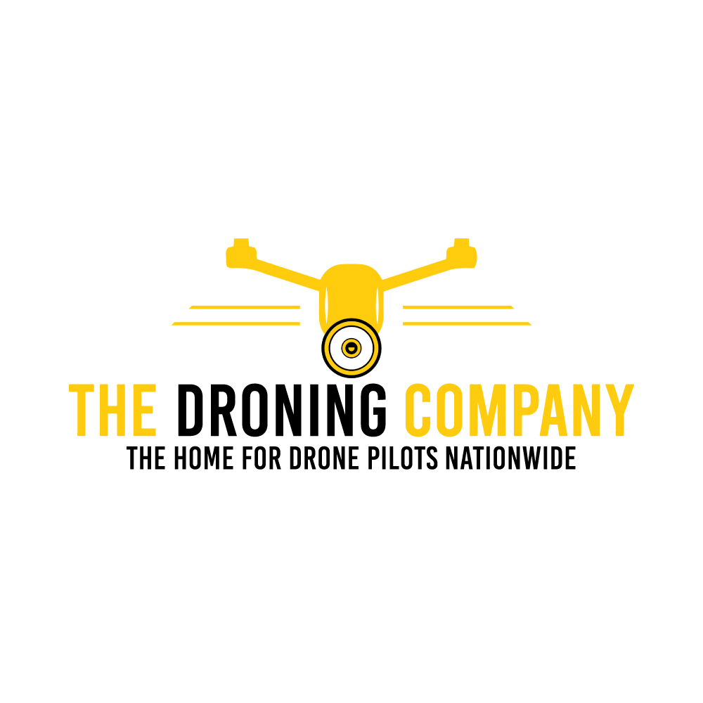 Company Logo For The Droning Company'