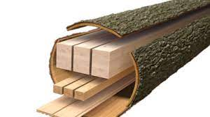 Cross-Laminated Timber Market'