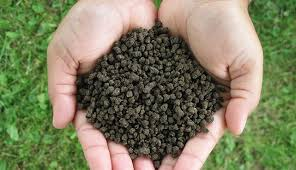 Coated Fertilizers Market