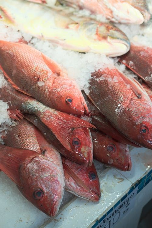 Fish Market'