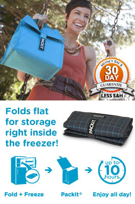 packit lunch coolers'