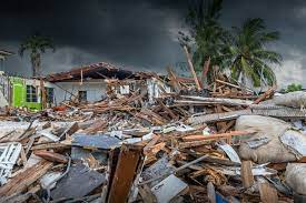 Natural Disaster Insurance Market'