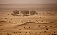 Morocco Desert Tours Logo