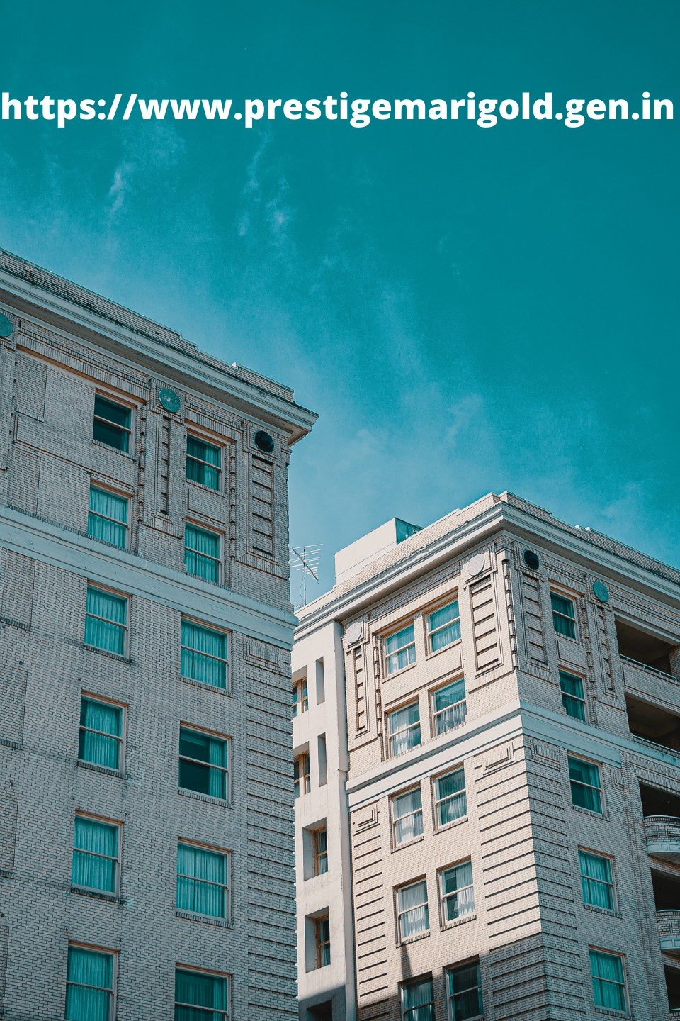 Company Logo For The Prestige City'