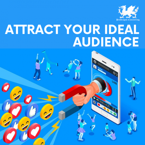 Attract Your Ideal Audience'