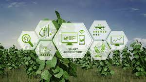 Smart Agriculture/Farming'