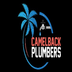 Company Logo For Camelback Tankless Water Heater'