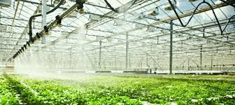 Greenhouse Irrigation System