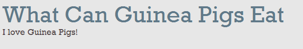 What Can Guinea Pigs Eat