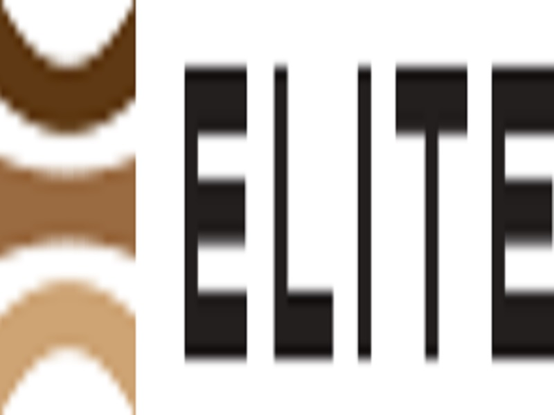 Company Logo For Elite Openers and Security Gates Phoenix'