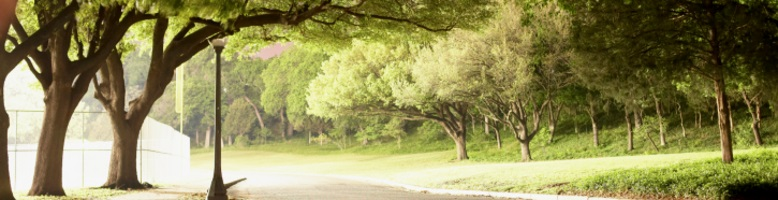 Company Logo For Premier Landscape Management'