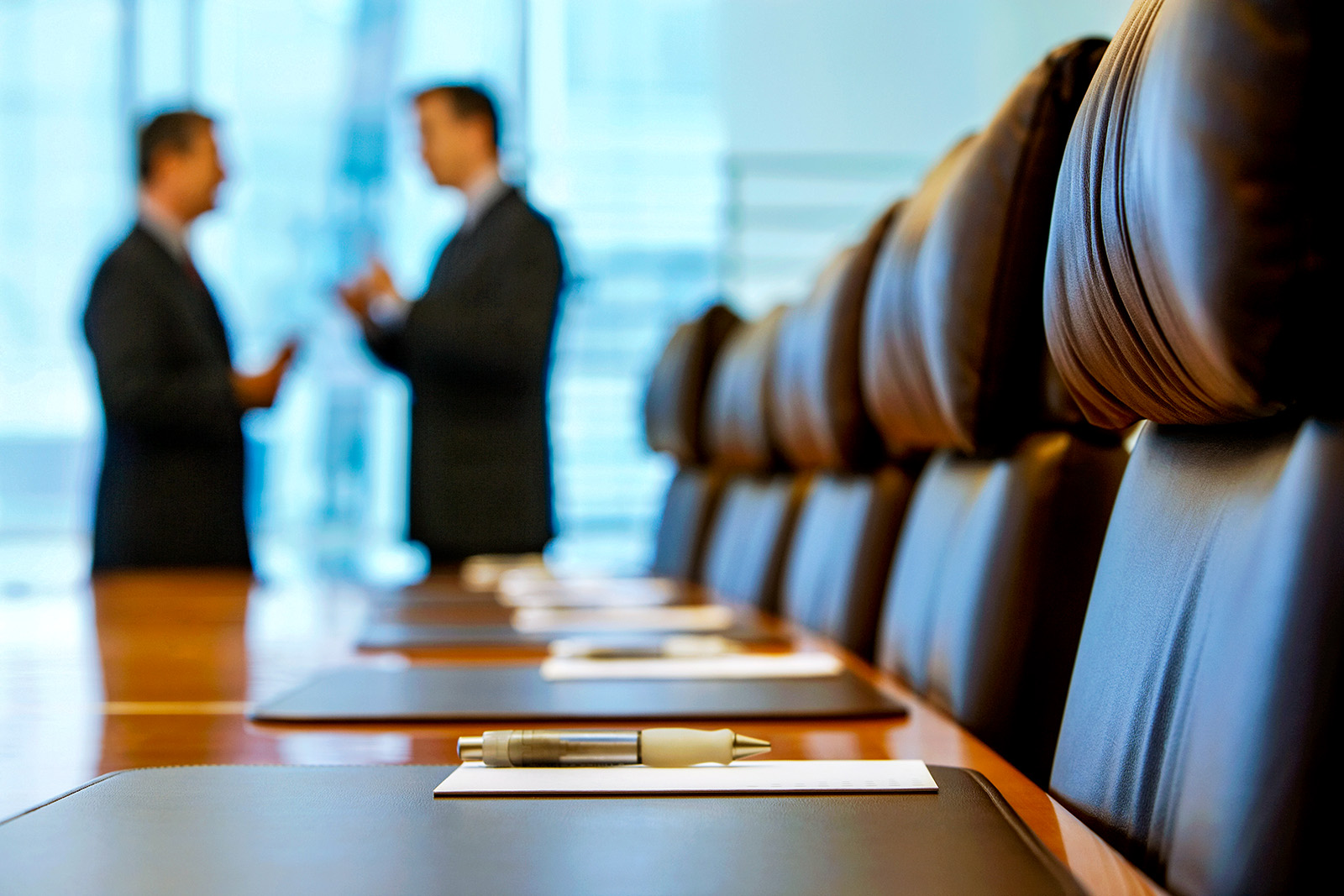 Directors and Officers Liability Insurance Market